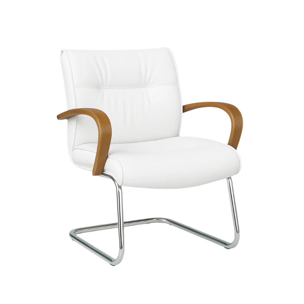 Scaun ergonomic piele ALBA | model BIG STAR V